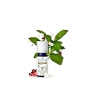 Puressentiel - Ätherisches Öl Wintergrün Bio 10 ml - BBDÄÖ - 100% rein und...