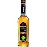 Riemerschmid Bar-Sirup Haselnuss (1 x 0.7 l)