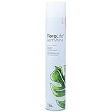 Flowerbox FLORALIFE® Blattglanz - 750 ml - 1 Stück
