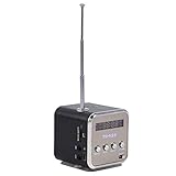 Diyeeni Lautsprecher, Tragbare Soundstation MP3 Player mit FM Radio, 3,5mm Audio...