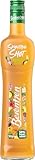 Berentzen | Smoothie Shot Tropical Flirt | 50% Fruchtgehalt* | Samtige...