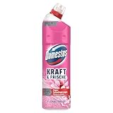 Domestos Kraft & Frische WC Gel Floral Fresh Reinigungsmittel mit frischem...