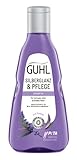 Guhl Silberglanz & Pflege Shampoo - Inhalt: 250 ml - Anti-Gelbstich und Pflege...