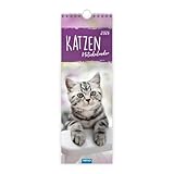 TRÖTSCH - Streifenkalender Katzen 2026 | Notizkalender: Wandkalender...