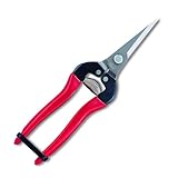 ARS HP-300LDX Obstschere aus Edelstahl mit Nadelnase.
