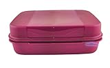 Tupperware® Großes Naschkätzchen 2,5 Liter Neue Trendfarbe! Picknick-Box...