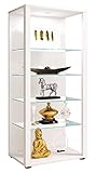 VCM Glasvitrine stehend | Vitrine Glas mit ESG-Sicherheitsglas | Maße ca. H....