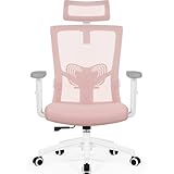 Daccormax Bürostuhl, ergonomisch mit Kopfstütze, Lendenwirbelstütze und...