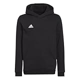 adidas Unisex Kinder Entrada 22 Sweat Hoodie, Black, 164