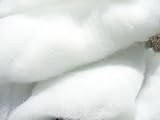 pemmiproducts Universal Filterwatte Weiss, fein, 1 kg, EUR 11,50 je kg, für...