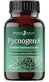 Pinienrindenextrakt hochdosiert - Original Pycnogenol - mit Vitamin C aus der...