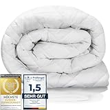 Feluna® Winter-Decke Kamelhaar-Steppdecke aus 100% Kamelhaarflaum...