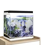 AquaOne Aquarium Komplettset LED mit Pumpe HNE-300 I Kleines Nanoaquarium 13...