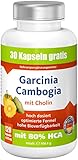 Garcinia Cambogia mit 80% HCA,1890mg Garcinia,120 vegane Kapseln: Premium...