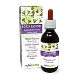 Hirtentäschel (Capsella bursa-pastoris) Kraut Alkoholfreier Urtinktur Naturalma...