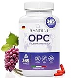 Bandini® OPC Traubenkernextrakt 365 Kapseln | 95% reines OPC je Kapsel, aus...