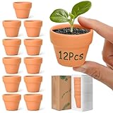 T4U 5cm Terrakotta Sukkulenten Töpfe 12er-Set, Mini Tontöpfe Anzuchttöpfe...