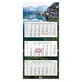 Timr 3-Monatskalender 2026 - Wandkalender 3 Monate mit Schieber - 70 cm...