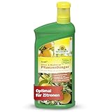 Neudorff Azet Zitrus- & Mediterran PflanzenDünger – 100% natürlicher Bio...