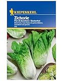 Kiepenkerl Zichoriensamen Pan di Zucchero, Robuste Gemüsesamen für...
