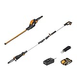 WORX 18V(20V MAX) Akku Teleskop Heckenschere & Hochentaster WG908E, PowerShare,...