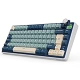 RK ROYAL KLUDGE R75 Mechanische Tastatur Kabellos 75%, Gasket Gaming Tastatur 75...