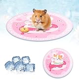 FOSDICK Kühlplatte Kaninchen 16x16 cm Kühlplatte Hamster Kühlmatte für...
