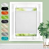 Homland Plissee ohne Bohren Klemmfix B35 x H80 cm Weiß, Plissees für Fenster...