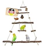 Vogelgaleria® Vogelspielplatz Vogelschaukel aus Naturholz | XXL Wellensittich...
