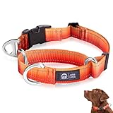 Arblina Martingale Hundehalsband, Reflektierendes Zugstopp Halsband Hunde für...