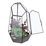 Relaxdays Pflanzenterrarium, Glas & Kupfer, 26x18x15 cm, Glaskasten Kakteen &...