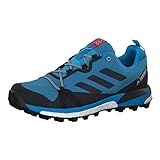 adidas TERREX Skychaser LT GTX - 9/43