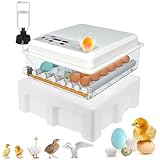 Automatische Brutmaschine für 24-36 Eier, Wenden, Befeuchtung, Eierprüfer, 4...