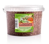 UGF - Premium Gammarus Bachflohkrebse Getrocknet, 3 Liter ≈ 300g Eimer,...