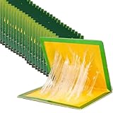 Klebefalle Heimchenfalle,20 Stück...