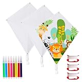 DASIAUTOEM Kinderdrachen Bausätze Bastelset, DIY Flugdrachen für Kinder,...