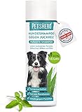 PetsHero® Hundeshampoo gegen Milben, Flöhe, Zecken & Parasiten - 250 ml -...