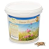 Magic of Nature Blumensamen Mischung - Bienen Paradies - 1kg - Kinderleichte...