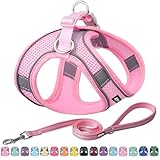 AIITLE Kleines Geschirr mit Leine - Hundewestengeschirr mit super atmungsaktivem...