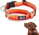 Arblina Martingale Hundehalsband, Reflektierendes Zugstopp Halsband Hunde für...