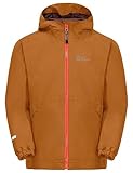 Jack Wolfskin Unisex Kinder Iceland 3in1 Jacket, autumn leaves, 152 EU