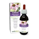 Sonnenhut (Echinacea angustifolia) Wurzeln Alkoholfreier Urtinktur Naturalma -...