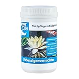 CleverAqua Fadenalgenvernichter mit Aktivsauerstoff effektives Algenmittel gegen...