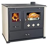 Kaminofen mit Backfach und Herdplatte Practik Lux Holzofen 9,5 kW Kamin Ofen...