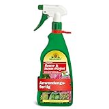 Neudorff Fungisan Rosen- und Buxus-Pilzfrei – Anwendungsfertiges Spray zur...