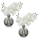 2 pcs Künstliche Orchideen weiß mit Schwarz Glasvase, Kunstpflanze Decor...