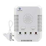 2 in 1 Gasleckmelder, Kohlenmonoxid Melder und Erdgasdetektor, CO Melder &...