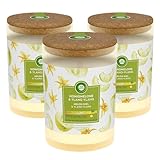 3 x Air Wick Duft Stimmungskerze 185g Honigmelone & Ylang-Ylang Ätherischen Öl