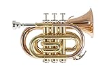 Roy Benson Bb-Taschentrompete PT-101G (mit Goldmessing Schallstück, kompakte...
