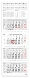 Geiger-Office 4-Monatskalender INFO - Schulferien, Feiertagen und...